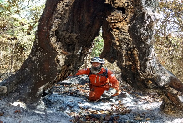 Para tenente Ramos combate a incêndio na Serra das Almas está em sua fase final
