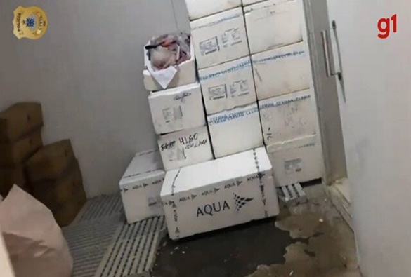 Duas toneladas de salmão e pescados são apreendidos em caminhão no interior da BA; alimentos não tinham nota fiscal