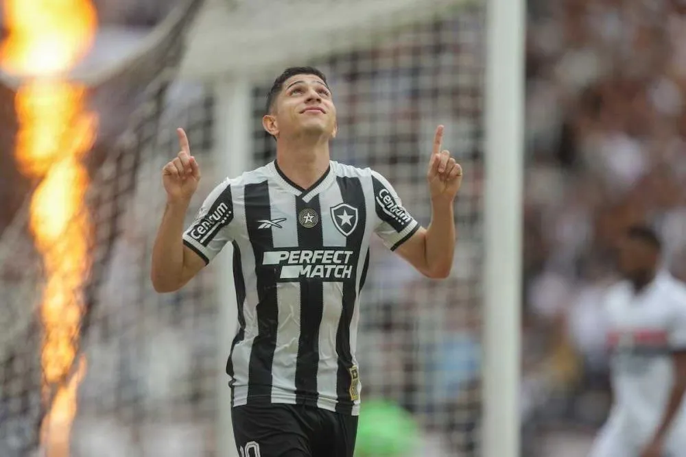 Botafogo celebra temporada histórica com título do Brasileirão após 29 anos