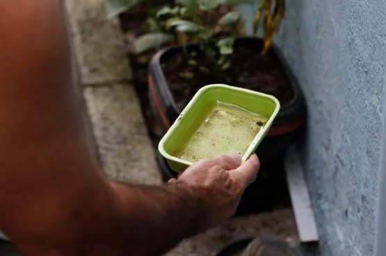 Bahia registra queda de 41% nos casos de dengue em 2026