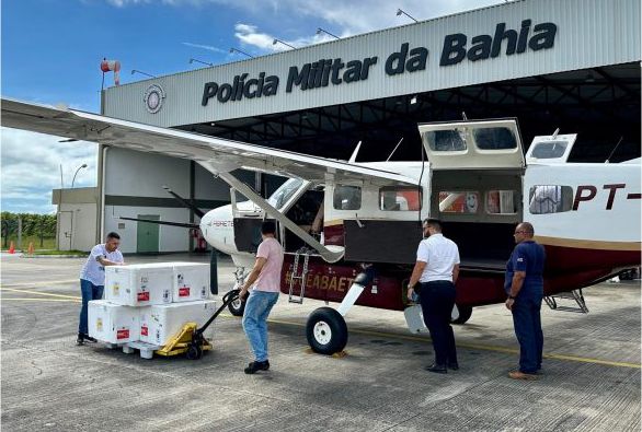Bahia zera estoque de vacinas contra a dengue