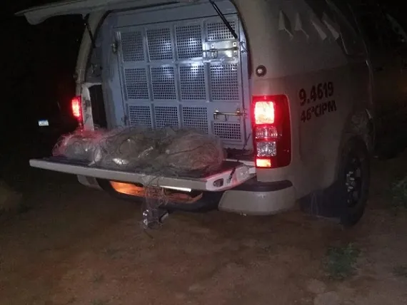 Polícia Militar de Livramento apreende redes de pesca na Barragem Luiz Vieira