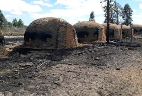 Mata Atlântica: Ação embarga 260 ha de áreas desmatadas e aplica R$ 371 mil em multas