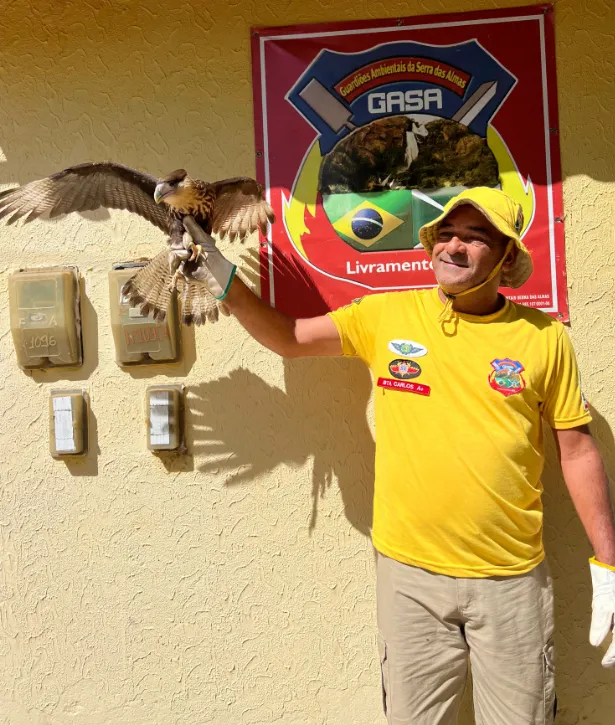 Carcará é devolvido à natureza após reabilitação em Livramento