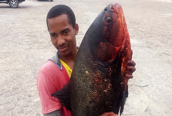 Jussiape: Peixe 'gigante' é capturado por pescador no Rio de Contas
