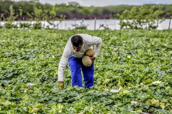 São iniciadas em Livramento as inscrições para o programa Garantia Safra 2026/2027