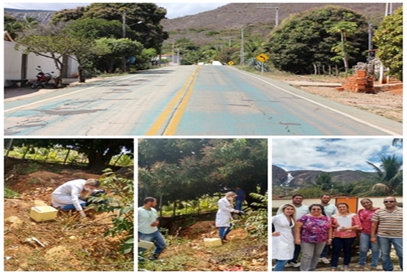 Livramento: Especialistas irão investigar mortes de saguis 