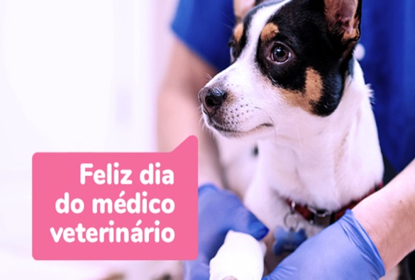 Hoje dia 09 de setembro é dia do Médico Veterinário 