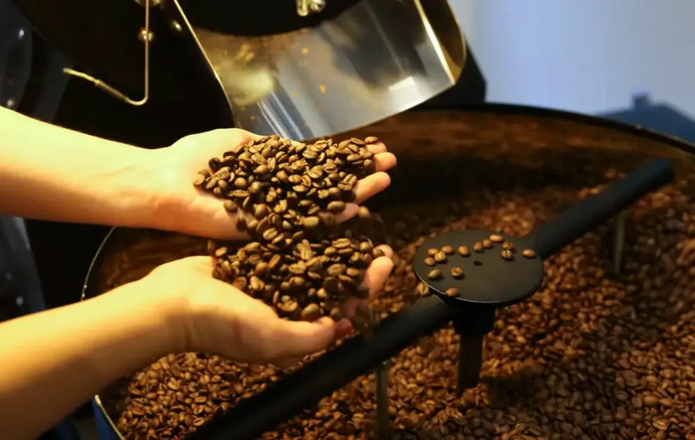 Preço do café cai pela primeira vez após um ano e meio