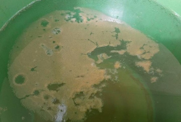 Moradores continuam questionando qualidade de água em Livramento