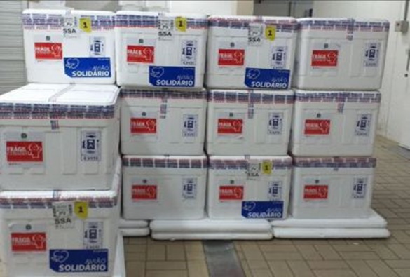 Para ações de combate à Aids, Câmara aprova criação do Dezembro Vermelho