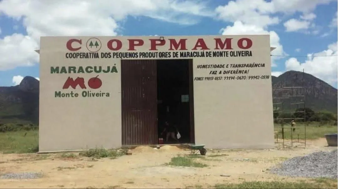 Conexão Agro Maracujá conecta produtores a tecnologias e conhecimentos em Livramento de Nossa Senhora