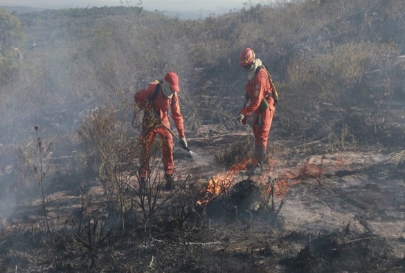 Governo estadual investe mais de 6 milhões de reais em incêndios florestais