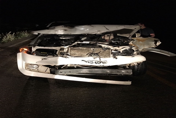 Dom Basílio: Veiculo colide frontalmente com animal que atravessava a pista