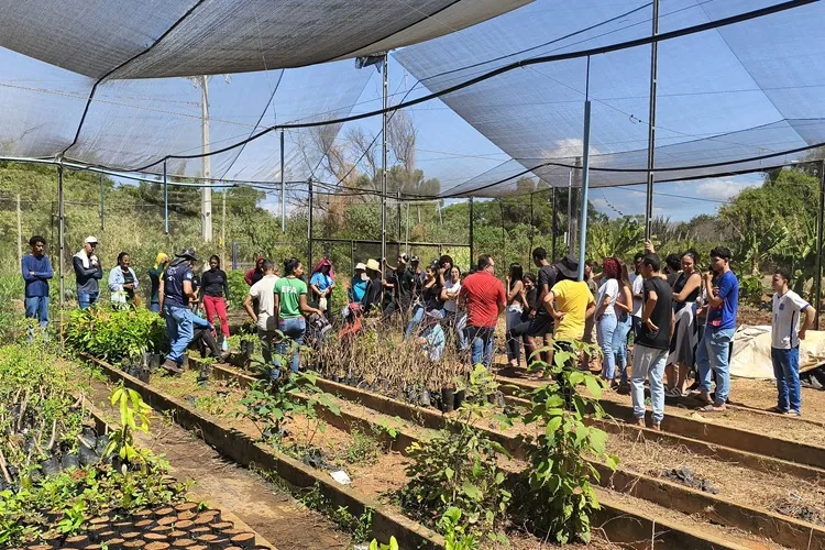 Ater Biomas promove intercâmbio em Paramirim para difundir práticas agroecológicas entre produtores rurais