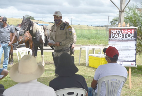 Polícia Rodoviária inicia projeto “Pista não é pasto”