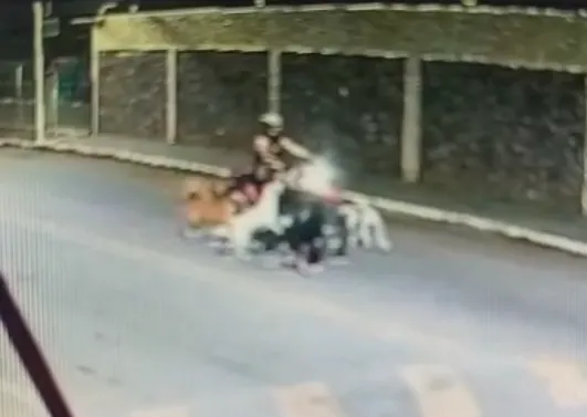 Motociclista fica ferida ao ser atacada por cães errantes em Livramento