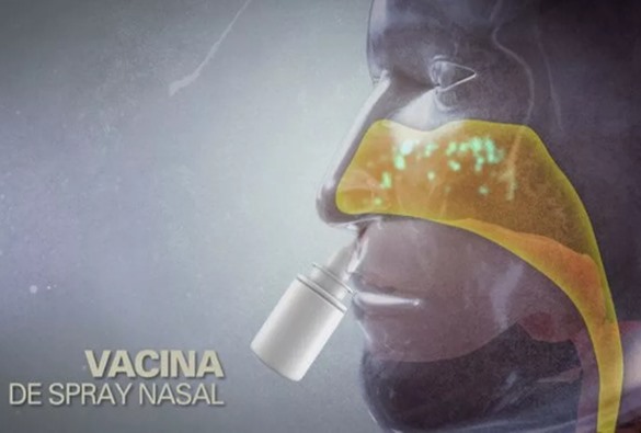 China aprova primeira vacina nasal contra Covid-19