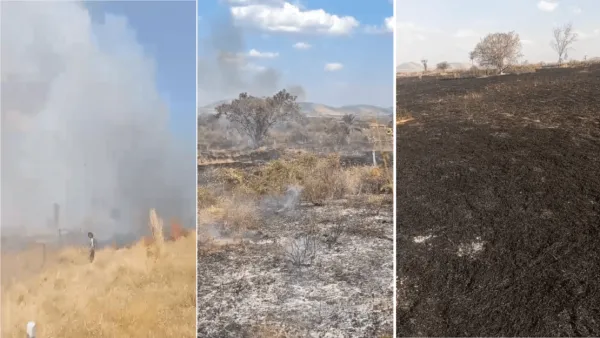 Moradores sofrem prejuízos após incêndio destrói pastagens e estruturas rurais na zona rural de Candiba