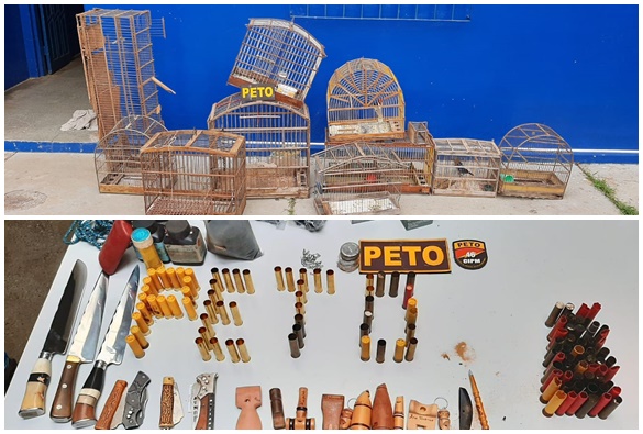 Polícia Militar atua em ação conjunta com ONG APA em Livramento após denúncias de maus tratos a animais