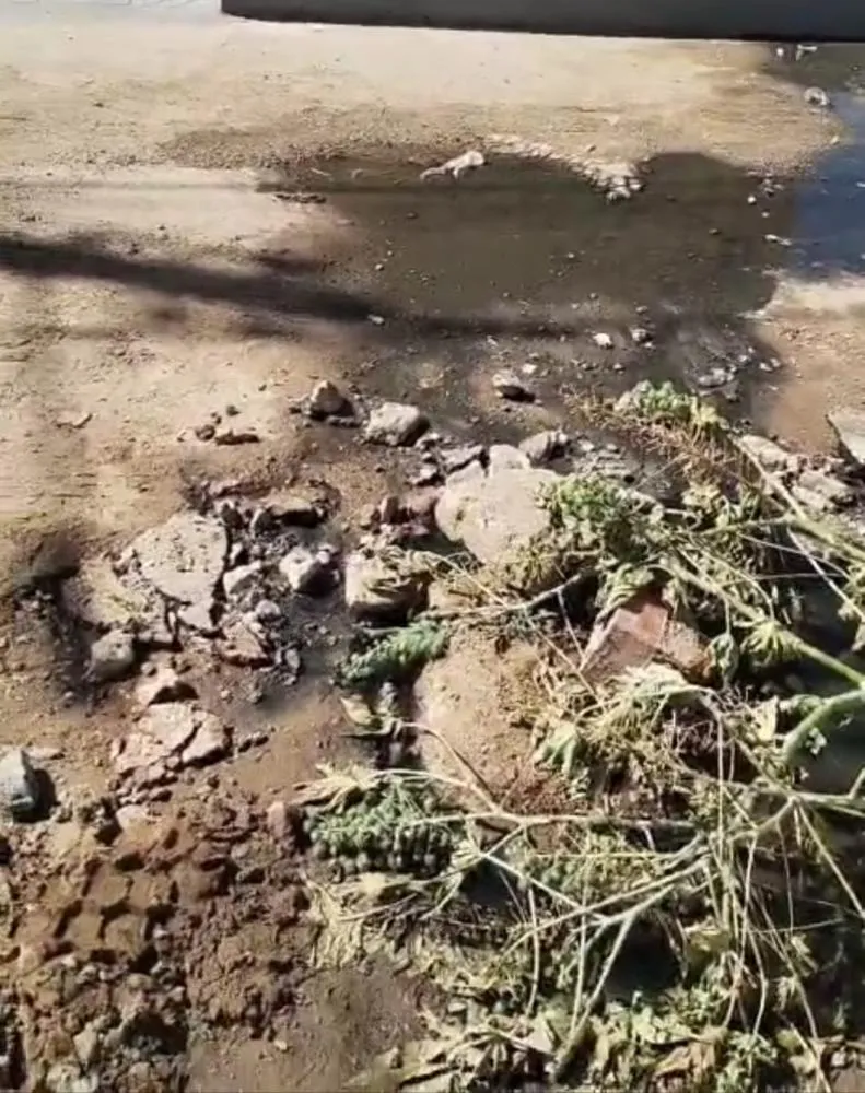 Moradores do bairro Belo Horizonte, em Livramento, reclamam de demora em manutenção de esgoto
