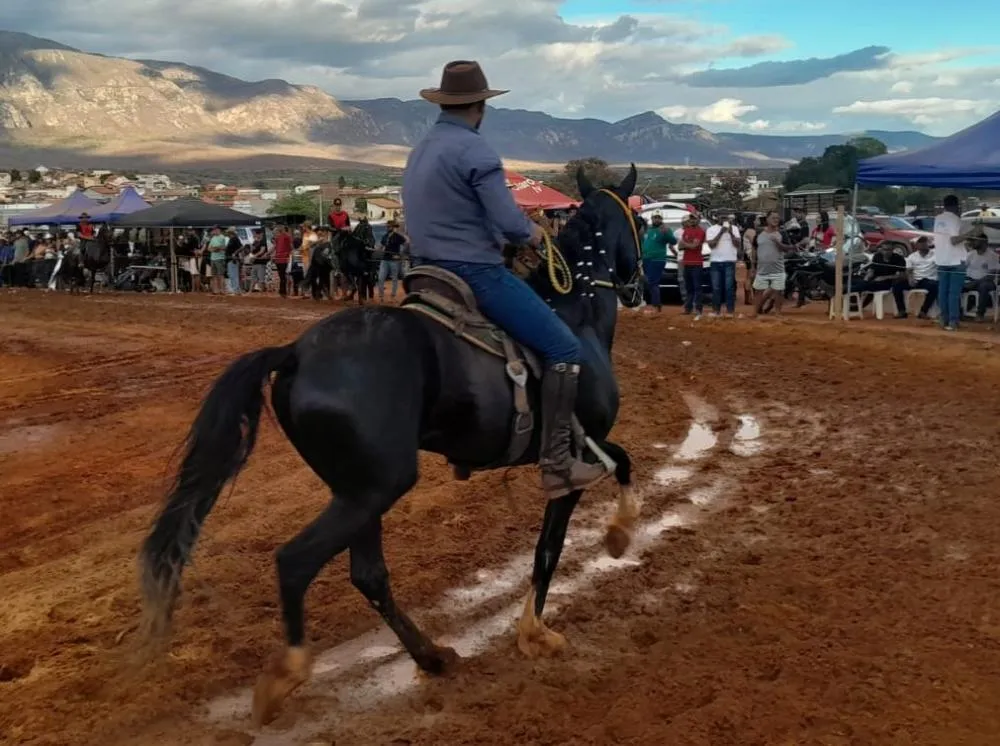 Segunda Copa de Marcha reúne criadores e amantes do cavalo em Livramento
