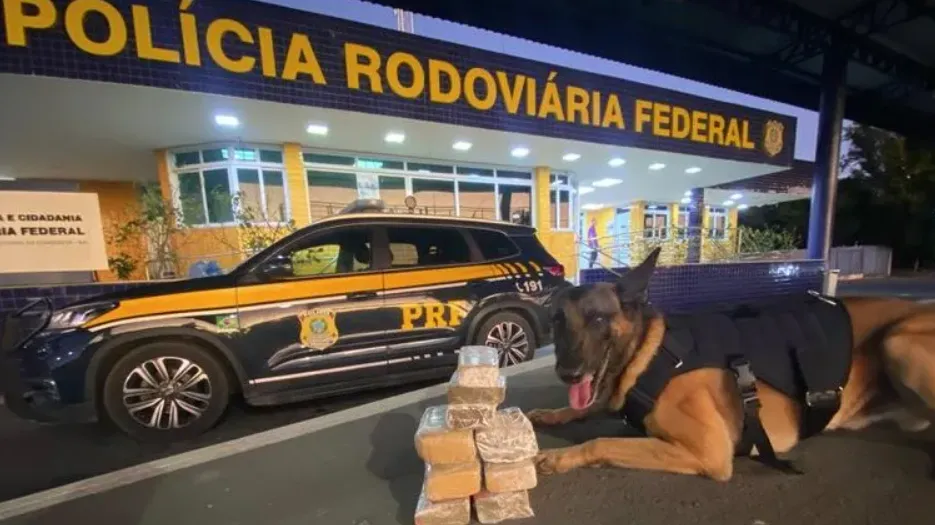 Maconha escondida em pacotes de arroz é apreendida em Vitória da Conquista