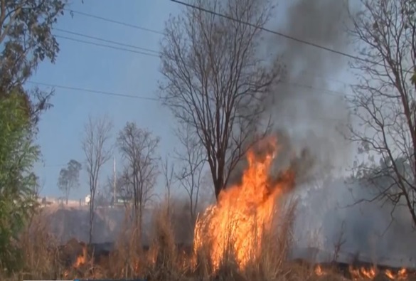 Incêndio atinge Serra do Mimo na Bahia
