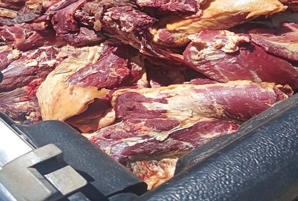 Adab apreende 210 kg de carne clandestina  