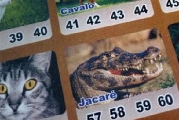 Senado quer votar projeto que libera jogo do bicho ainda neste ano