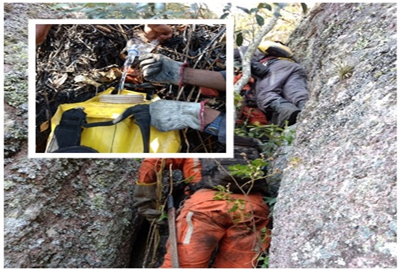 Incêndio na Serra das Almas é controlado
