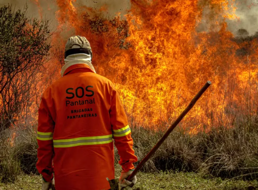 Queimadas na região Amazônica e no Pantanal deixam céu cinza ao redor do Brasil