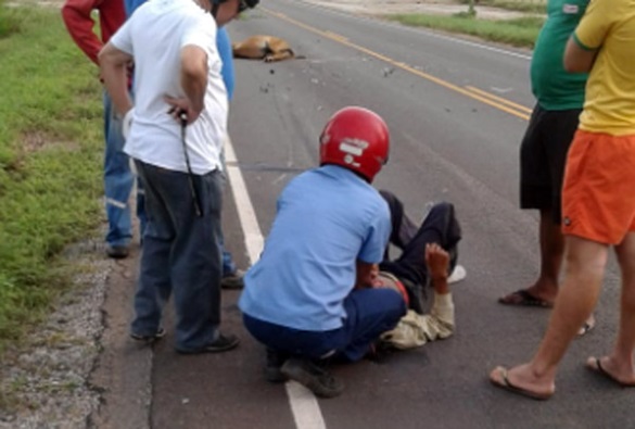 Animal solto na pista: motorista fica ferido após se chocar contra cavalo na BA-148 