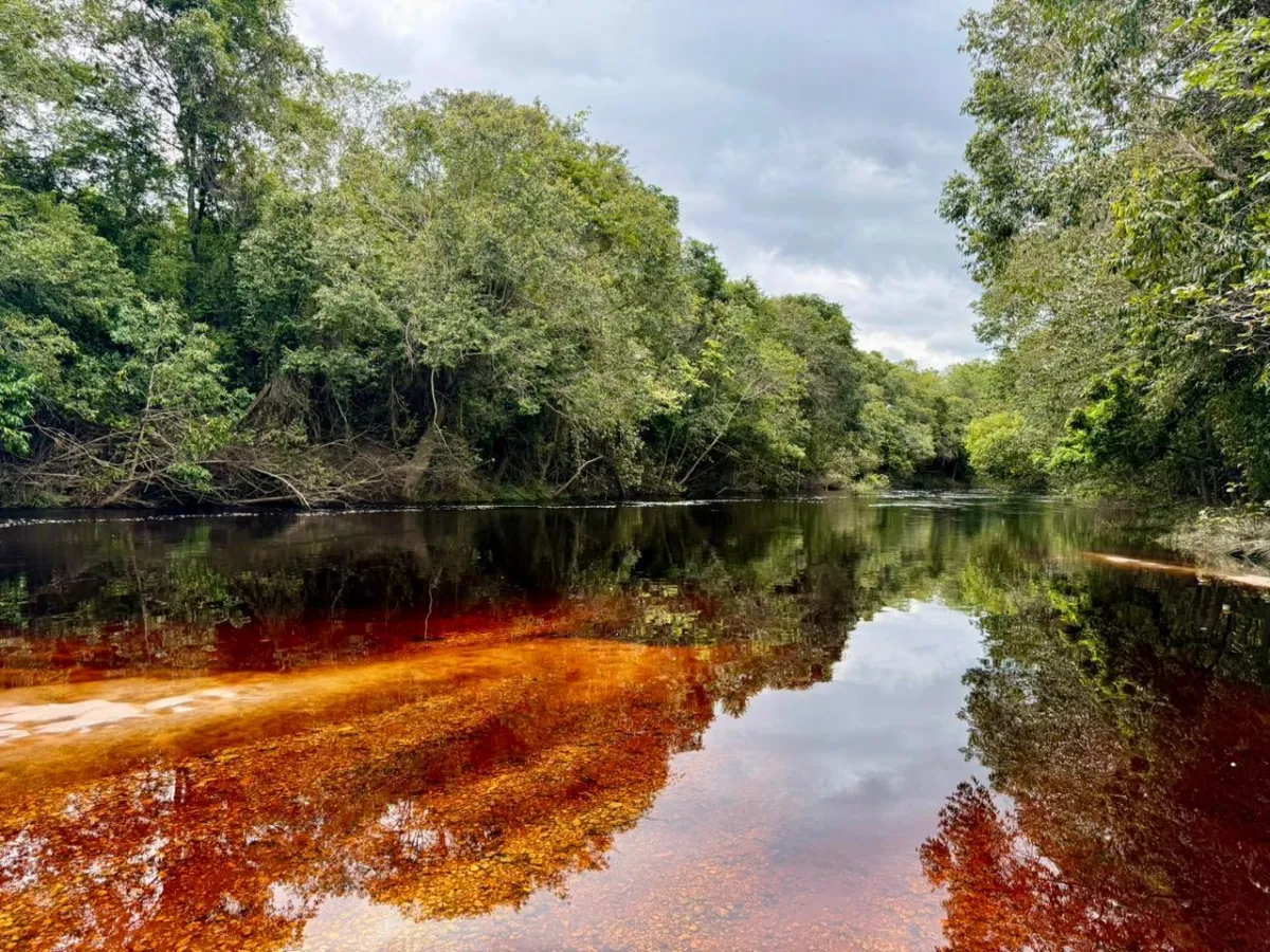 Nova área de preservação ambiental será criada na Chapada Diamantina