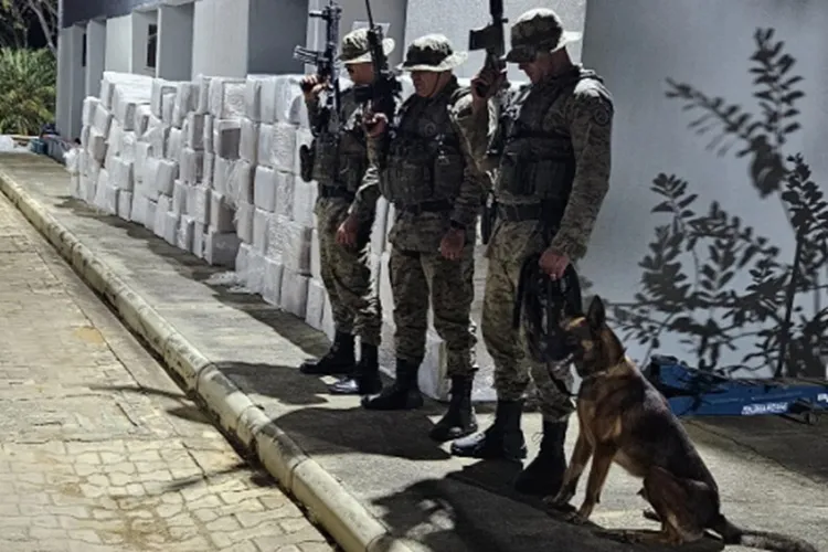 Ação integrada intercepta três toneladas de maconha em Poções