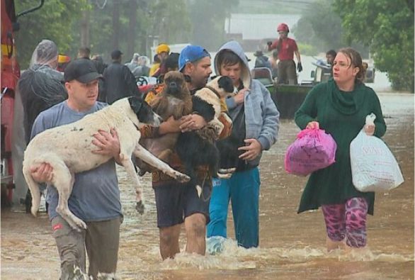 Águas contaminadas no Rio Grande do Sul devem causar doenças com risco de morte e surto de dengue