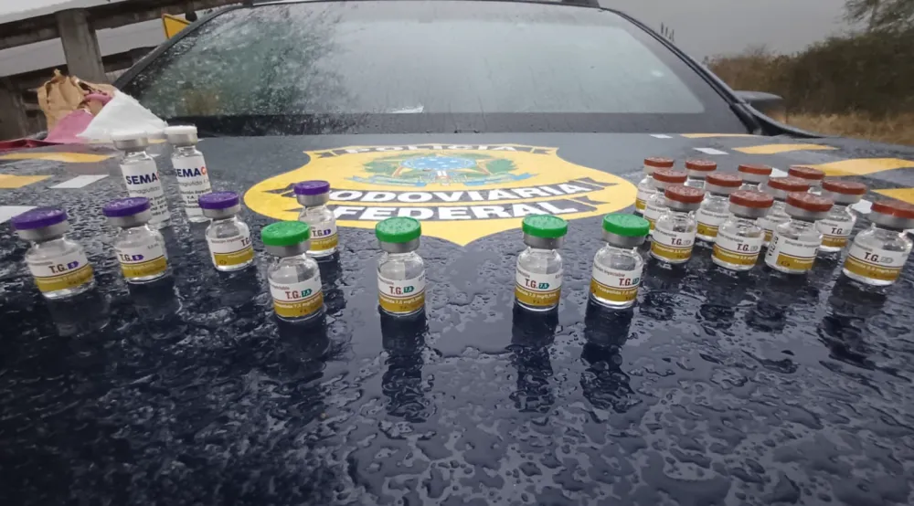 PRF apreende medicamentos de emagrecimento irregulares em Jequié