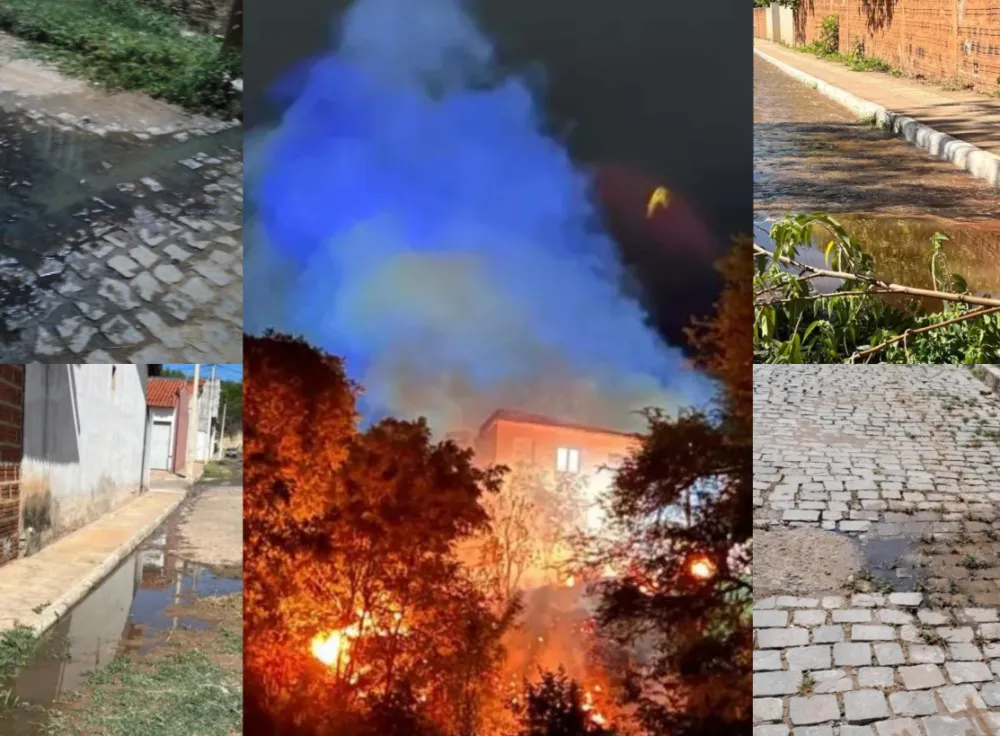 Dia Mundial do Meio Ambiente expõe feridas abertas em Livramento de Nossa Senhora