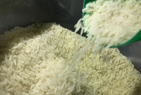 Governo zera imposto para importação do arroz até dezembro