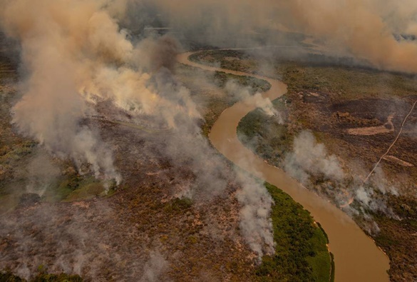  Ibama gastou menos de 40% do orçamento para combate a desmatamento e queimadas em 2020