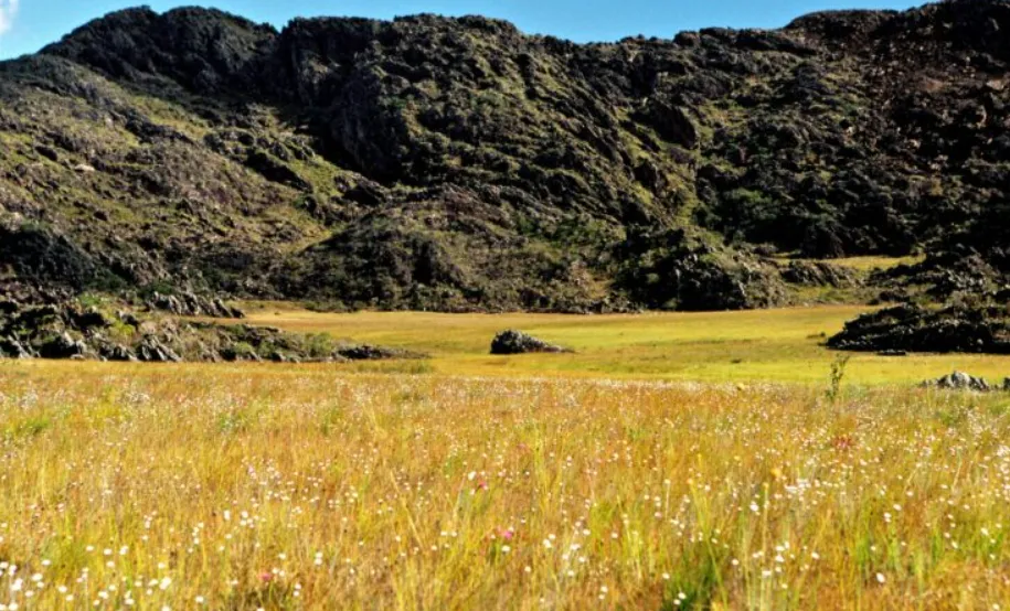 Chapada Diamantina sedia Semana da Mata Atlântica