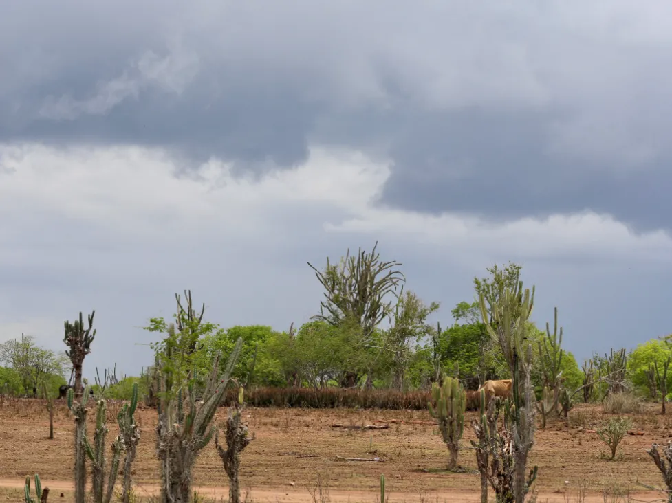 Previsão indica retorno das chuvas no próximo domingo na região Sudoeste da Bahia e Chapada Diamantina
