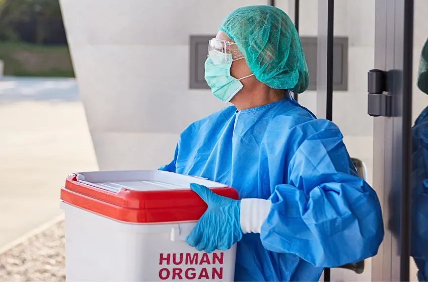 Plataforma digital facilita a doação de órgãos no Brasil e reduz burocracias