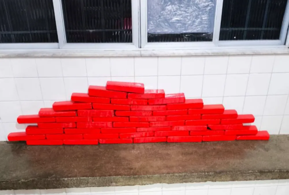 Polícia apreende maconha em ônibus de turismo em Rio do Antônio