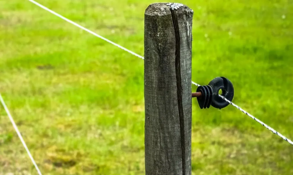 Homem morre eletrocutado ao tocar cerca eletrizada em Tanhaçu
