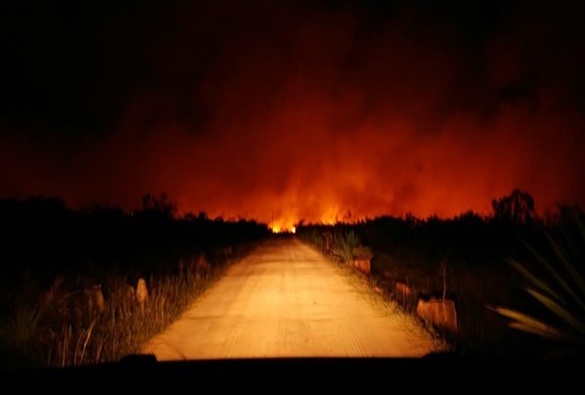 Com fumaça espalhada por Mucugê, moradores revelam preocupação com incêndio em vegetação que está 'próximo da cidade'