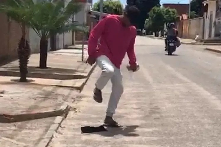 Gato é pisoteado até a morte por homem em Guanambi