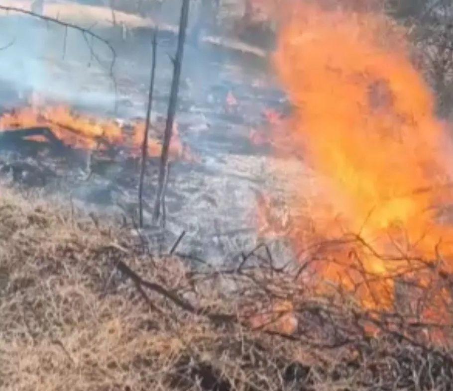 MPBA instaura inquérito para apurar ações de Livramento no combate às queimadas