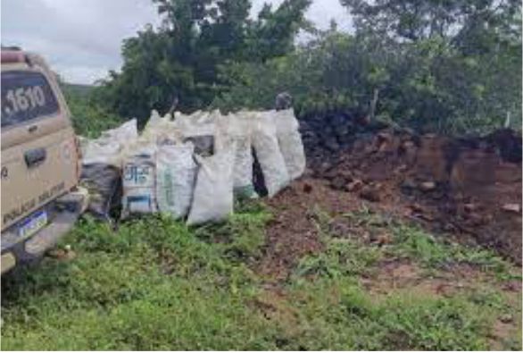 Fornos ilegais de carvão são destruídos na zona rural de Paramirim
