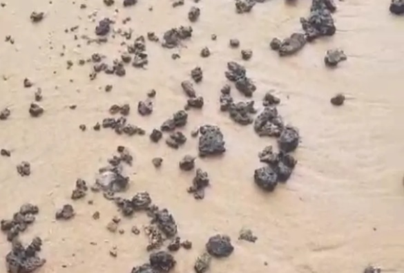 Manchas de óleo são encontradas em pelo menos seis praias de Salvador